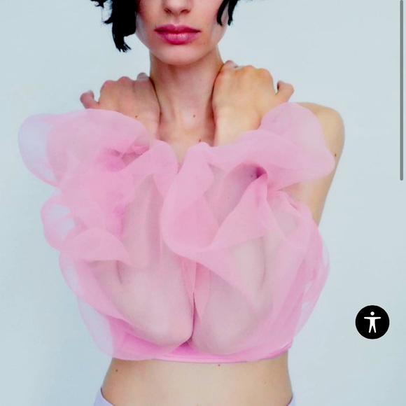 Pink organza Zara top - Picture 2 of 7